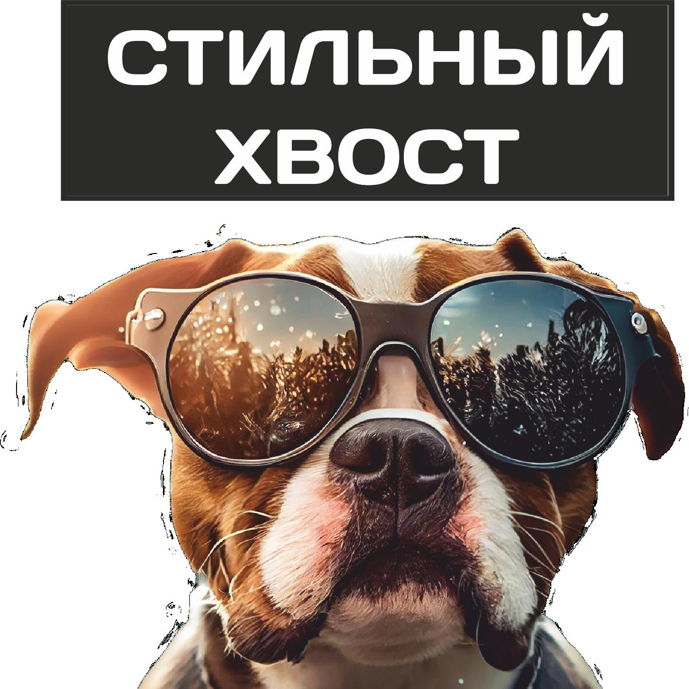 Стильный хвост
