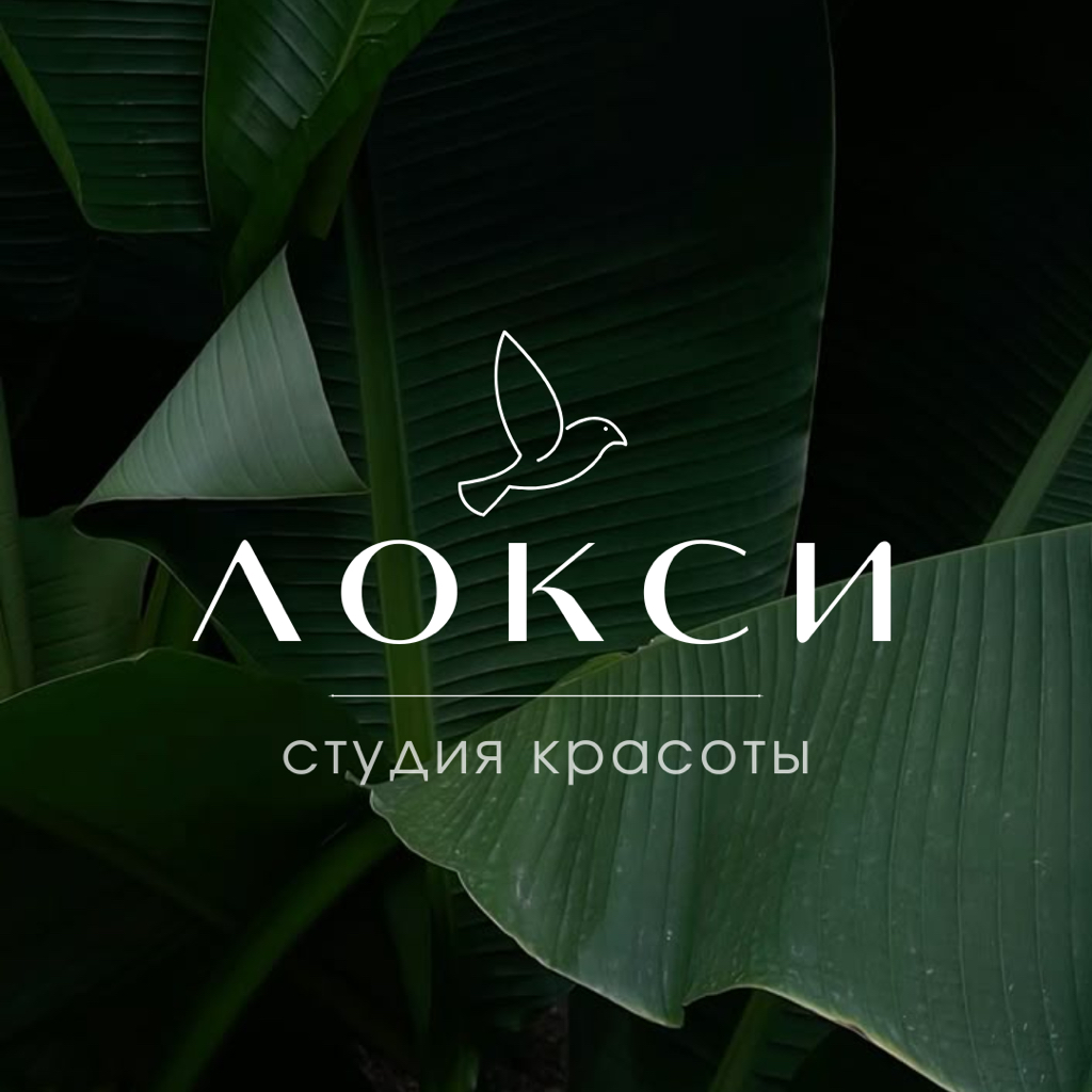 студия красоты ЛОКСИ
