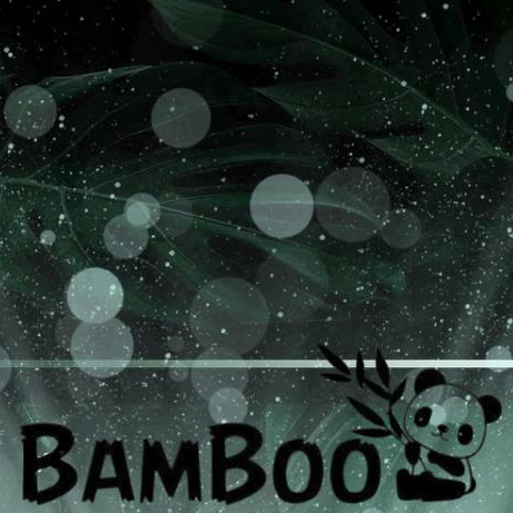 Bamboo