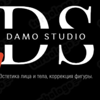 DaMo_Studio