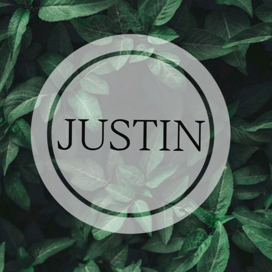 SPA-СТУДИЯ «JUSTIN»