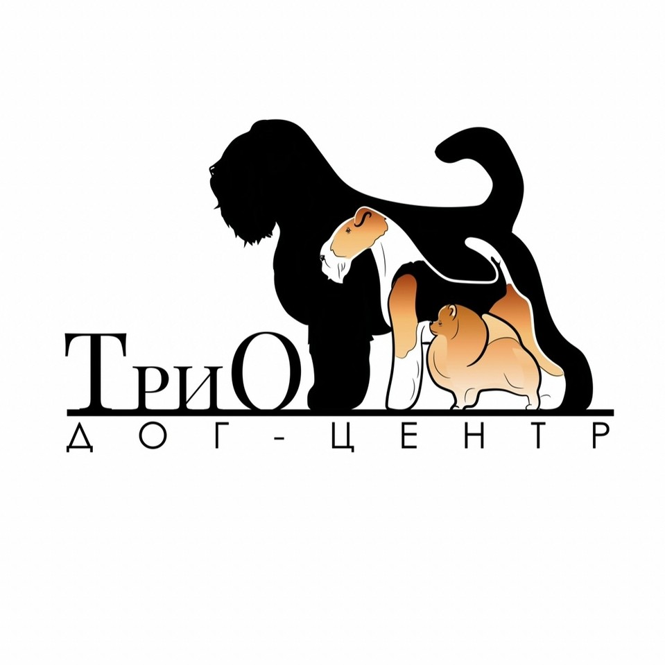 дог-центр Череповецкая