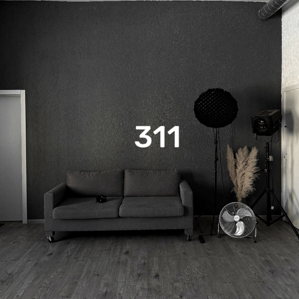 Фотостудия 311