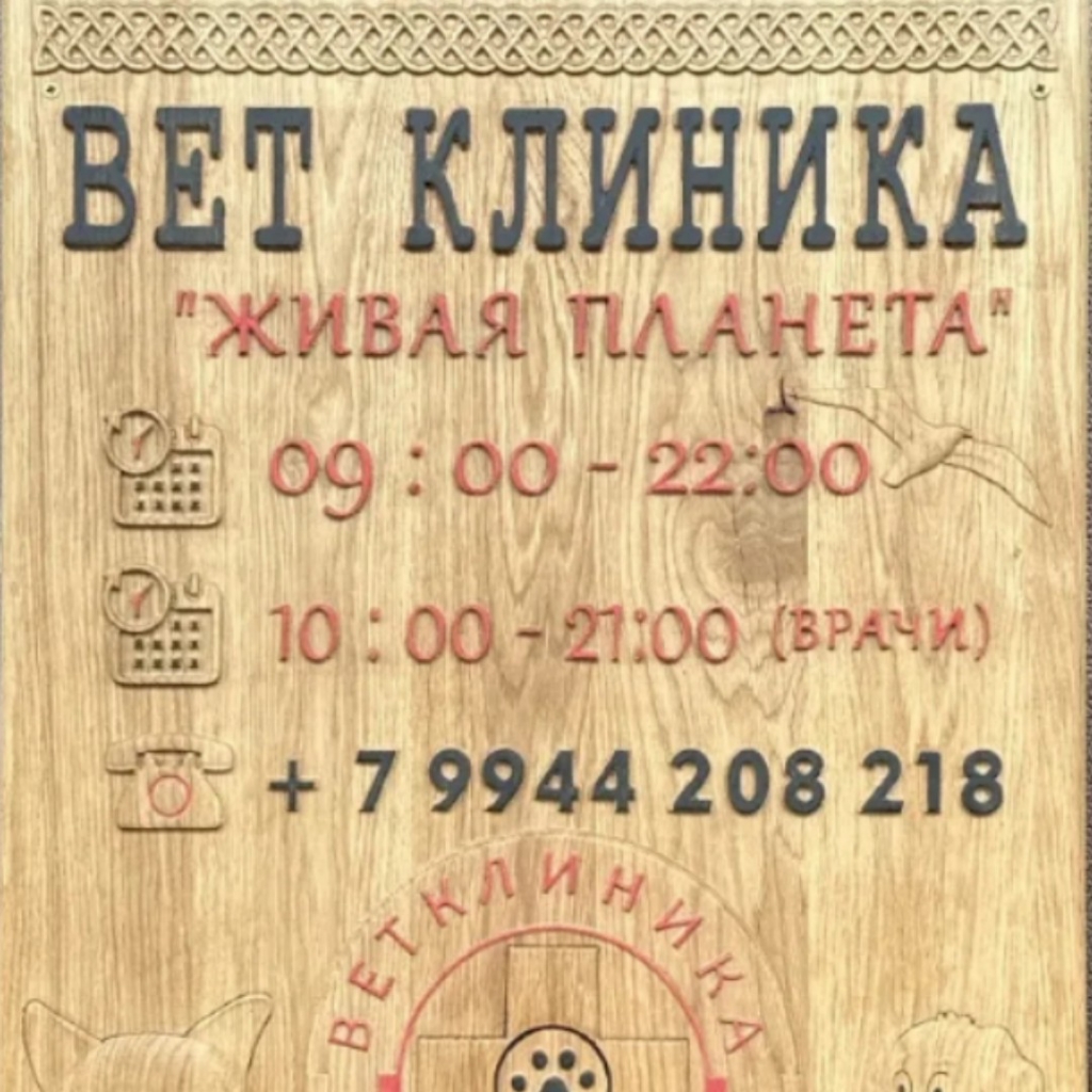 Живая Планета